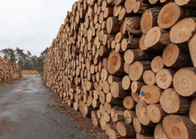 bois de chauffage, exploitation forestière, sciage bois, piquets bois, bois local, Saint-Sulpice-de-Pommiers, Gironde, entreprise familiale, bois chauffage sec, bois de chêne, bois de hêtre, bois dur, stères de bois, livraison bois de chauffage, abattage arbres, débardage, élagage, coupe de bois, forestier professionnel, bois énergie